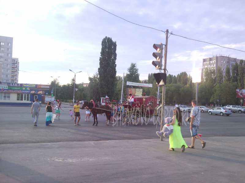карета день молодежи 2013